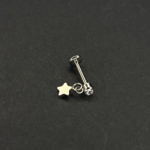 Titanium Stud Earring & Nose Piercing | Crystal Stud with Star Dangle | High-Polish G23 Medical Grade
